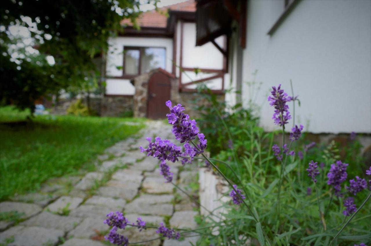 Casa Vatra Sinteului - Cu Sala De Evenimente De Capacitate Mare - Se Inchiriaza Integral Villa Socet Dış mekan fotoğraf